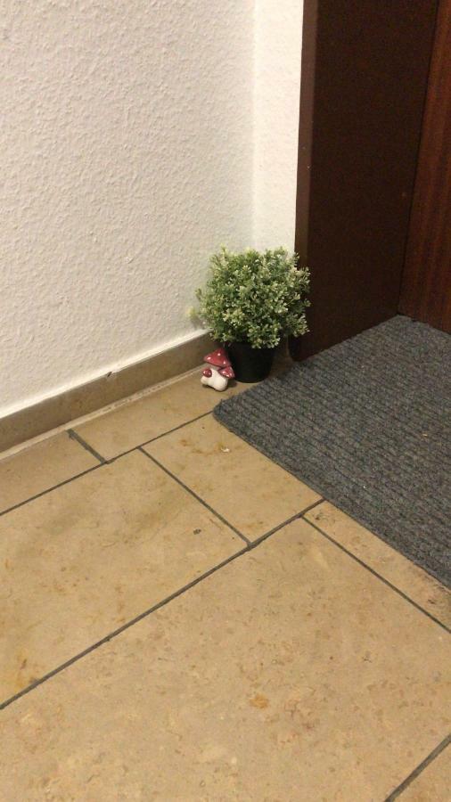 Troisdorf - Rotter See - 60 Qm - 1 Bis 3 Personen Exteriör bild